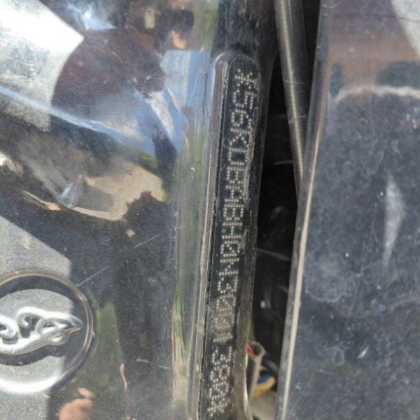 Indian Chief, 2022 г.