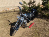 Motoland Wolf 300, 2026 г.