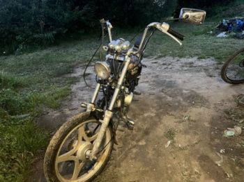 Viper Harley, 2010 г.
