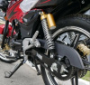 Racer RC 250-C5B MAGNUM, 2024 г.