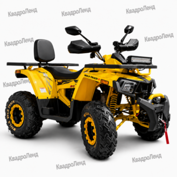 Motoland Wild Track X ''WINCH'', 2026 г.