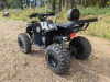 AVM Thunder 200, 2025 г.