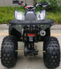Racer RC RC125 Raptor, 2024 г.