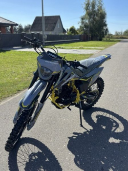 Progasi PALMA 300 PRO, 2026 г.