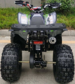 Racer RC RC125 Raptor, 2024 г.