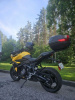 Triumph Tiger, 2025 г.
