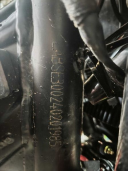 BSE T7 SPORT, 2024 г.