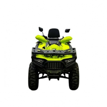 Bashan ATV Explorer 300, 2024 г.