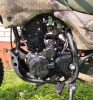 Racer Panther ZWC-2 (300x), 2025 г.