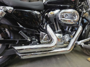 Harley-Davidson Sportster Custom 1200xl, 2015 г.