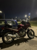 Yamaha XJ 600s, 1995 г.