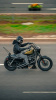 Harley-Davidson Sportster XL883N, 2009 г.
