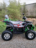 ATV Storm 200 Wild Track Lux 163QML, 2026 г.