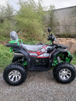 ATV Storm 200 Wild Track Lux 163QML, 2026 г.