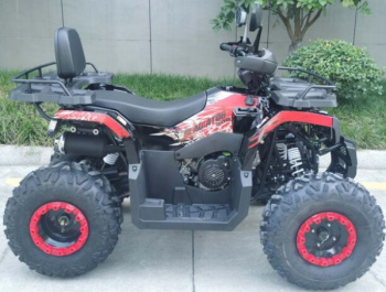 Racer RC 200 GLADIATOR, 2024 г.