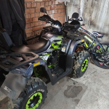 Motoland Wild Track, 2024 г.