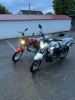 Stels RK125 White, 2026 г.
