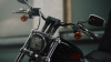 Harley-Davidson Softail Standard, 2025 г.