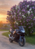 Yamaha YZF, 2002 г.