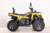 Motoland Wild Track 250 X PLUS, 2026 г.