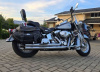 Harley-Davidson Softail Classic holitech, 2001 г.