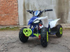 Motoland ATV E008 E010 1000W, 2024 г.