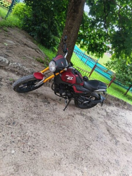 Shineray Sport 250 Cobra, 2023 г.