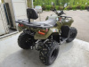 Kayo AU300 Carb, 2026 г.