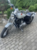 Harley-Davidson Sportster 1200C, 2005 г.