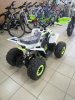 Racer RC 110 Coyote, 2023 г.