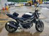 Suzuki SV 650, 2024 г.