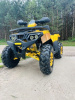 Motoland Wild Track LUX 200, 2026 г.