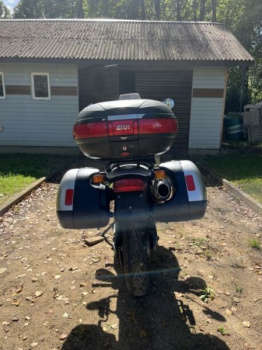Triumph Tiger 955i, 2006 г.