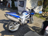 Suzuki SV, 2004 г.