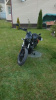 Harley-Davidson Nightster RH975, 2022 г.