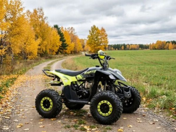 Motoland Raptor 125, 2026 г.
