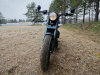 Jawa 350 CL Perak, 2024 г.