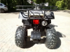 Motoland 200 All Road, 2025 г.