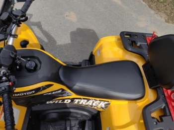 Motoland Wild Track X Plus (VOX250), 2025 г.