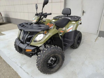 Kayo AU300 Carb, 2026 г.