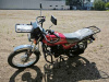Motoland Forester LITE 200, 2026 г.