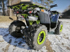 Motoland Wild Track 200 X WINCH, 2025 г.