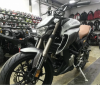 Regulmoto Alien Monster 300, 2025 г.