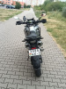 Regulmoto ADV, 2024 г.