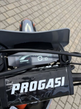 Progasi PALMA 300 PRO, 2025 г.