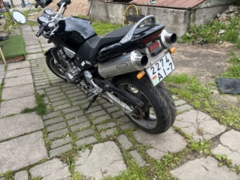 Honda CB 900F SC48 hornet, 2003 г.