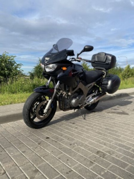 Yamaha TDM, 2003 г.
