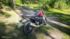 Triumph Speed 400, 2024 г.