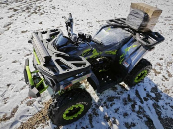 Motoland Wild Track 200 X WINCH, 2025 г.