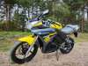 Racer RC SKYWAY RC300CS, 2026 г.